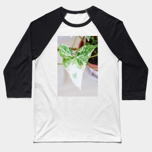 Unique and organic photo of a Syngonium Albo Baseball T-Shirt